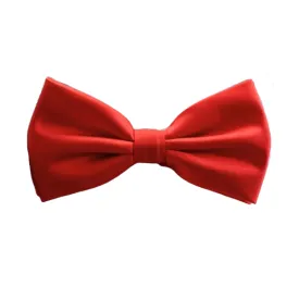 Classy Men Red Silk Pre-Tied Bow Tie