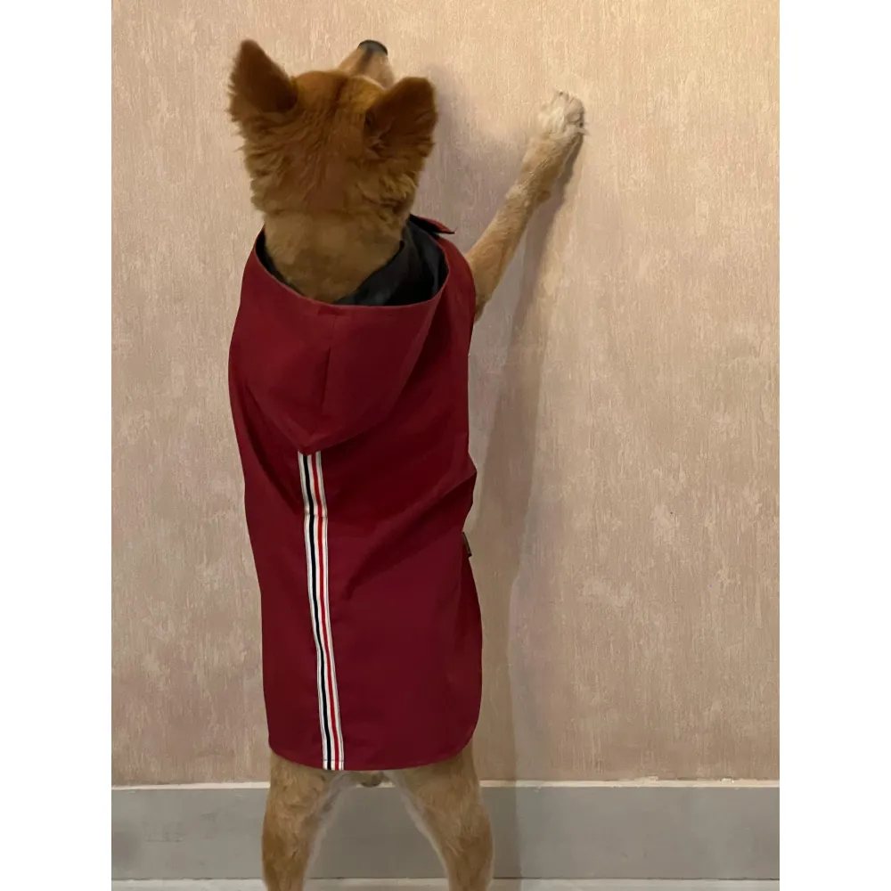 Petsnugs 100% Waterproof Raincoat for Dogs and Cats (Maroon)